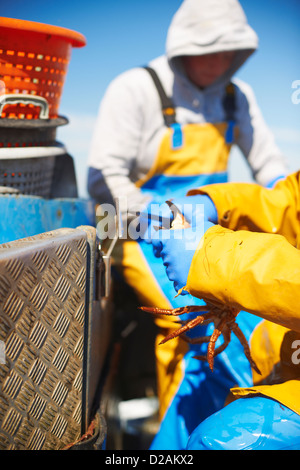 Fischer bei der Arbeit am Boot Stockfoto