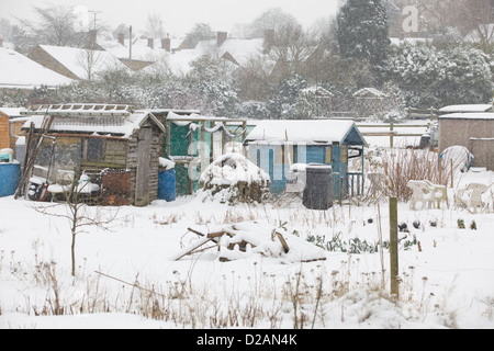 Eine schneereiche Winter-Tag auf eine Zuteilung in England Stockfoto