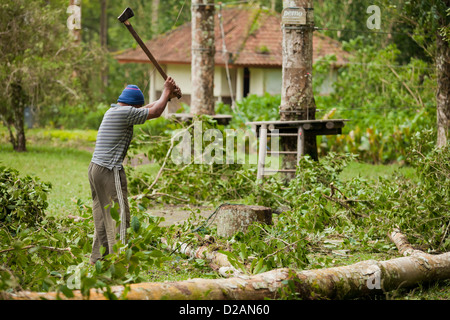 BALI - 25 JANUAR. Mann Reinigung umgestürzten Baum nach dem großen Sturm am 25. Januar 2012 in Bali, Indonesien. Stockfoto