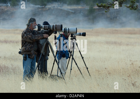 Wildlife-Fotografen im Yellowstone-Nationalpark, Wyoming Stockfoto