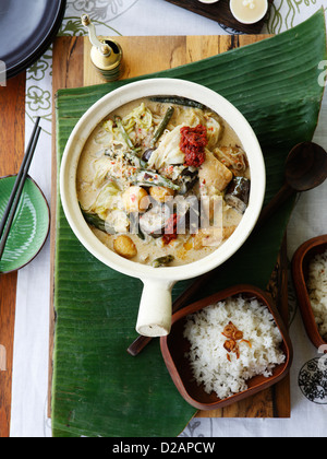 Topf mit Gemüse-Curry mit Reis Stockfoto