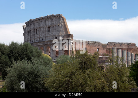 Kolosseum von Palatin, Rom, Italien Stockfoto