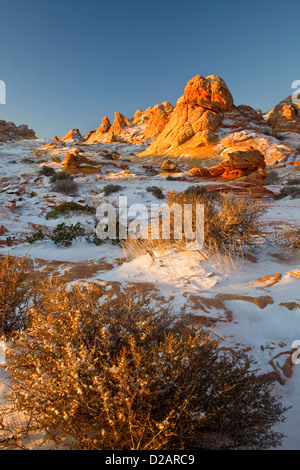 Schnee auf Felsformationen im Coyote Buttes im Bereich Paria Canyon-Vermilion Cliffs Wilderness entlang der Utah und Arizona Grenze Stockfoto