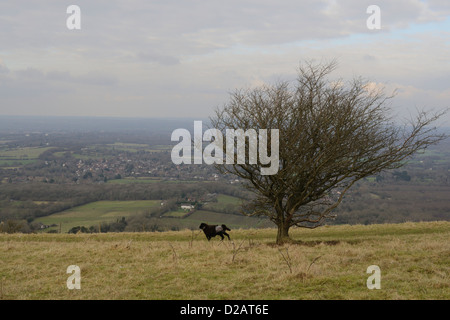 Nördlich von Ditchling Beacon in Ditchling Dorf anzeigen Stockfoto