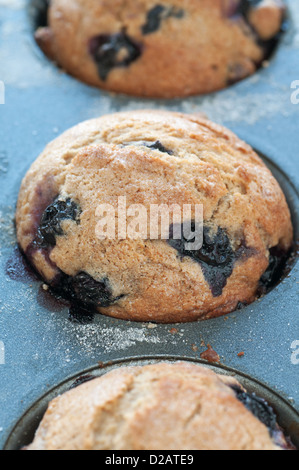 Frisch gebackenen leckeren, frischen Obst-Blaubeer-muffins Stockfoto