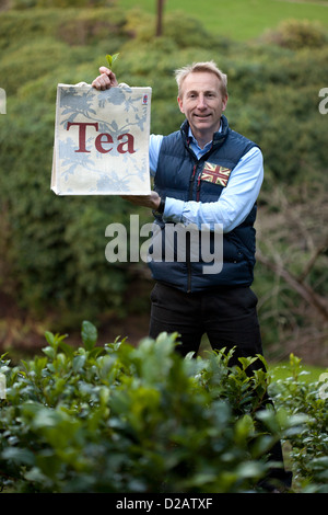 Kommerzielle Direktor Jonathan Jones in der Himalaya-Tal am Tregothnan Estate-Tee-Plantage in der Nähe von Truro, Cornwall Stockfoto