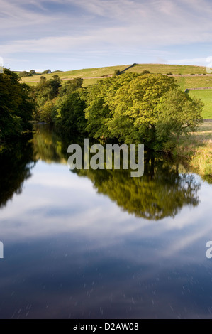 Spiegelungen auf dem Wasser und Ufer Bäume spiegelt sich auf Ruhe, Stille, Scenic, River Wharfe an sonnigen Sommertag - Burnsall, North Yorkshire, England, UK. Stockfoto