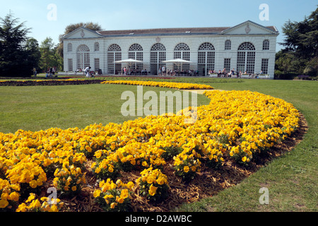 Blumen in der Form der Olympischen Ringe außerhalb der Orangerie Restaurant, The Royal Botanic Gardens, Kew, Surrey, UK. Stockfoto