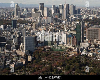 Der Blick von der Roppongi Hills Mori Tower Tokyo. Tokyo City Scape Luftbild. Stockfoto