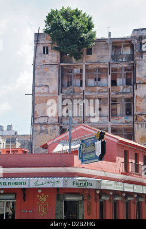 Havanna, Kuba, die berühmte El Floridita Bar in Alt-Havanna Stockfoto