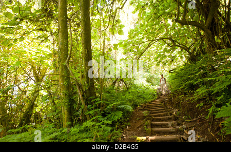 Wandern Vulkan San Pedro in Lake Atitlan, Guatemala. Stockfoto