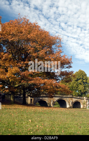 Farbe des Herbstes in Derbyshire Stockfoto