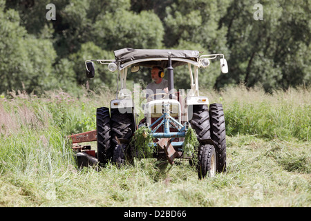 Strahlende Dorf, Deutschland, Landwirt auf einen Traktor, einen Rasen zu mähen Stockfoto