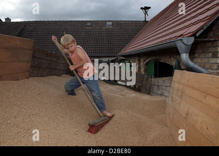 Glänzend, Deutschland, Weizenkoerner Dorfjunge drückt auf einem Anhänger auf die Seite Stockfoto