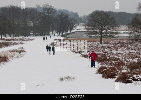 London, UK, Samstag, 19. Januar 2013. Menschen genießen Sie Spaziergänge in Richmond Park, London. 2013 steigt aus, um einen Kaltstart als eiskalten Wetter Treffer das Vereinigte Königreich. Am Wochenende vom 19. Januar fiel über 10 Zoll Schnee in einigen Gebieten des Vereinigten Königreichs mit mehr am Anfang der nächsten Woche erwartet. Stockfoto