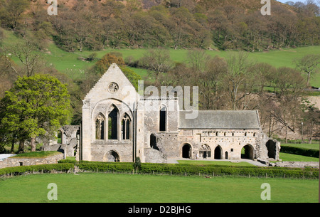 Valle Crucis Abtei Llangollen Denbighshire Wales UK Stockfoto