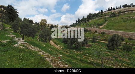 Gehenna (Hinnom) Tal in der Nähe der Altstadt von Jerusalem Stockfoto