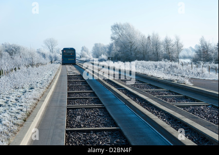 Die geführte Busway oder Bus tracks zwischen St. Ives und Cambridge Cambridgeshire UK an einem kalten, sonnigen Wintertag Stockfoto