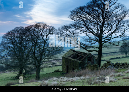 Scheune Ruine Ende Roach am Rande der Hinterwellen, Staffordshire Moorlandschaften Stockfoto