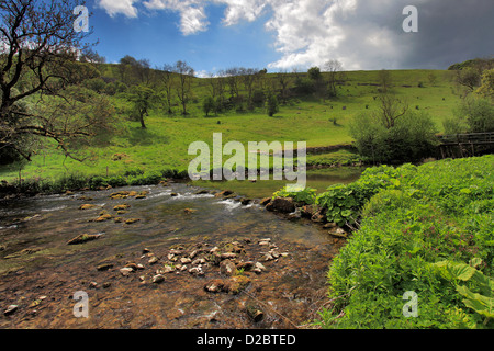 Sommer Chee Dale am Fluss Wye, in der Nähe von Blackwell Dorf, Peak District National Park, Derbyshire Dales, England, UK Stockfoto