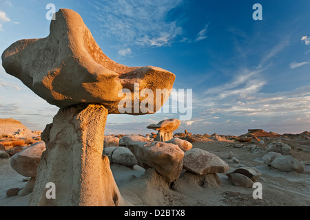 "Pilz" Felsen und Geröll, Bisti Wilderness Area, New-Mexico-USA Stockfoto