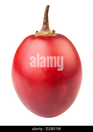 Tamarillo eine auf weißem Hintergrund Stockfoto