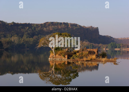 Eine Ansicht des Padam Talao oder See im Ranthambore Nationalpark, Rajasthan, Indien. Stockfoto