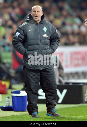 Bremens Trainer Thomas Schaaf schreit Anweisungen, um seine Spieler auf dem Platz in der Bundesliga-Fußballspiel zwischen Werder Bremen und Borussia Dortmund im Weser-Stadion in Bremen, Deutschland, 19. Januar 2013. Foto: CARMEN JASPERSEN (Achtung: EMBARGO Bedingungen! Die DFL ermöglicht die weitere Nutzung der nur bis zu 15 Bilder (keine Sequntial Bilder oder Video-ähnliche Reihe der Bilder erlaubt) über das Internet und Online-Medien während des Spiels (einschließlich Halbzeit), im Stadion oder vor dem Start des Spiels entnommen. Die DFL erlaubt die uneingeschränkte Übertragung von di Stockfoto