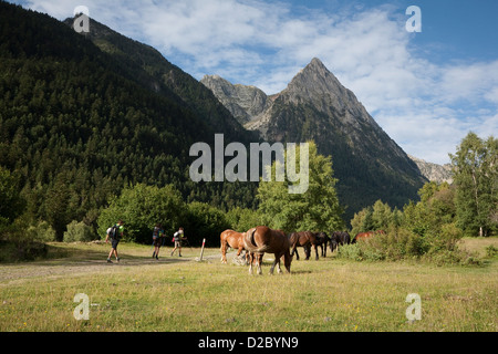 Wilde Pferde & Backpakers entlang des GR 11 in der Nähe von Dorf Espot - Aigüestortes i Estany de Sant Maurici National Park Stockfoto