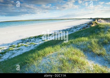 Rothiesholm Sand - Strand auf der Insel Stronsay, Orkney Inseln, Schottland. Stockfoto