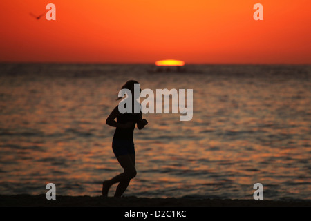 Sunrise-Jogger und Spaziergänger in Sydneys berühmten Bondi Beach an einem Tag Hitzewelle. Stockfoto