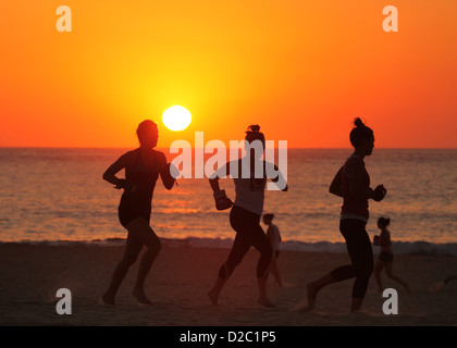 Frauen Übung "Boot Camp" bei Sonnenaufgang an Sydneys berühmten Bondi Beach an einem Tag Hitzewelle. Stockfoto