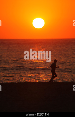 Sunrise-Jogger und Spaziergänger in Sydneys berühmten Bondi Beach an einem Tag Hitzewelle. Stockfoto