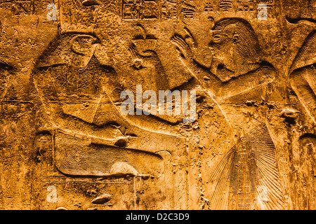 Falcon Gott Horus und Pharao Seti ich Relief am Denkmal Tempel von Sethos i., Abydos, Ägypten Stockfoto