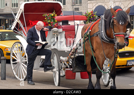 Zwischen lesen Hansom Taxifahrer Tarife Central Park South New York City Stockfoto