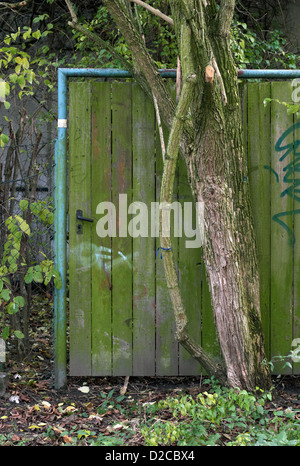 Berlin, Deutschland, wächst ein Baum vor einer Gartentuer Stockfoto