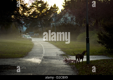 Berlin, Deutschland, Abendstimmung im Park Marie Höhe in Tempelhof Stockfoto