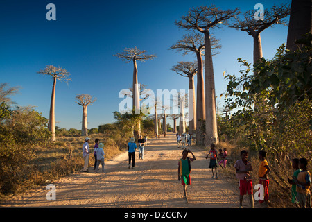 Madagaskar, Morondava, Allee der Baobabs, Allee des Baobabs, Touristen und einheimische Kinder Stockfoto