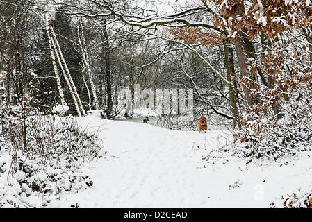 Nostell Priory, Crofton, UK. Samstag, 19. Januar 2013. Schnee bedeckt Nostell Priory. Alamy Live-Nachrichten. Stockfoto