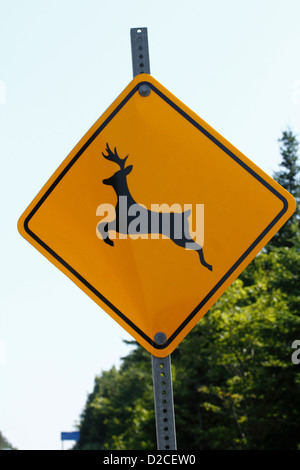 Hirsche überqueren Gelbe Straße Schild California Usa. Sicherheit