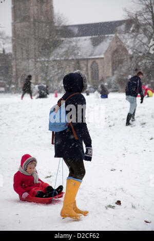 20. Januar 2013 13.15 Uhr - Schnee fällt auf Clapham Common in Clapham, London, UK. Erwachsene und Kinder auf Schlitten spielen im Schnee Stockfoto