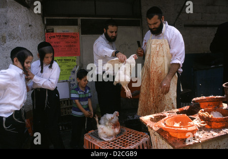 Ein Jude schlachtet während des Kapparot-Rituals am Yom-Kipur-Vorabend in der Nachbarschaft von Mea Shearim, einer ultraorthodoxen Enklave in Westjerusalem Israel, ein Huhn Stockfoto