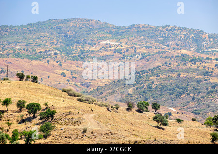 Typische Landschaft in Zypern Natur Berge Stockfoto