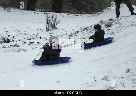 London, UK, Sonntag, 20. Januar 2013.Locals herauskommen, spielen im Schnee am Brockwell Park, Herne Hill, London.  .  Zwei Geschwister Rennen jedes Otherdownhill auf Schlitten. Alamy Live-Nachrichten. Stockfoto