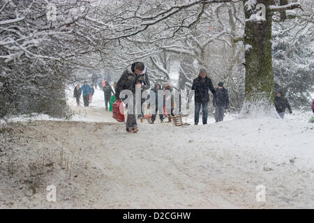 Während der Schnee, und winterlichen Bedingungen in London genießen die Mitglieder der Öffentlichkeit Wintersport auf Pole HIll Chingford North East London UK Stockfoto