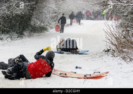 Während der Schnee und die winterlichen Bedingungen in London der Öffentlichkeit geniessen Sie den Wintersport auf Pole HIll Chingford North East London UK Mann fallen der Rodel Schlitten bei kaltem Wetter Stockfoto