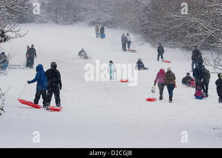 Während der Schnee, und winterlichen Bedingungen in London genießen die Mitglieder der Öffentlichkeit Wintersport auf Pole HIll Chingford North East London UK Stockfoto