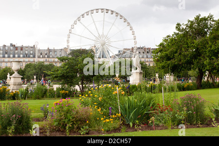 Jardin des Tuileries und Riesenrad in Paris Stockfoto