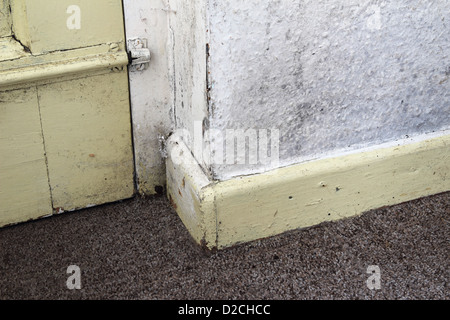 Innenwand mit Tapete über Anzeichen von Schimmel und Feuchtigkeit, UK PROPERTY veröffentlicht Stockfoto