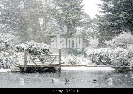 Verschneite Szene zeigt den See, Bäume und Enten in einem Schneesturm. Stockfoto